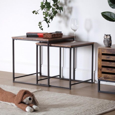 FIXADOR DE PORTA CÃO