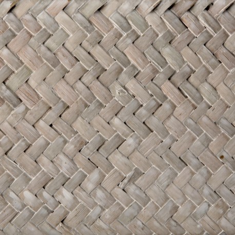 CESTA RECT C/ASAS NATUR