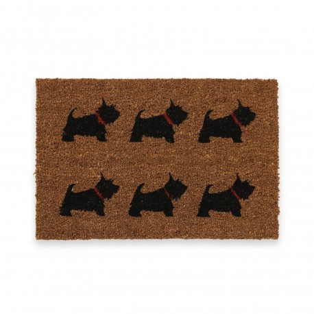TAPETE TERRIER FIBRA COCO 40X60