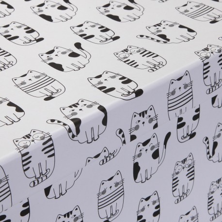 CONJUNTO 15 CAIXAS CARTÃO GATTO