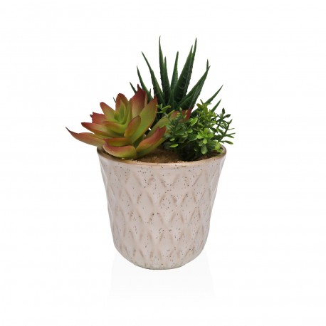 VASO CERÂMICA COM SUCULENTA 2