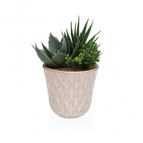 VASO CERÂMICA COM SUCULENTA 3