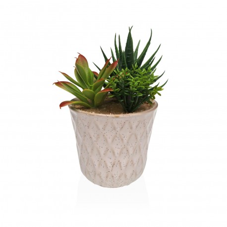 VASO CERÂMICA COM SUCULENTA 4
