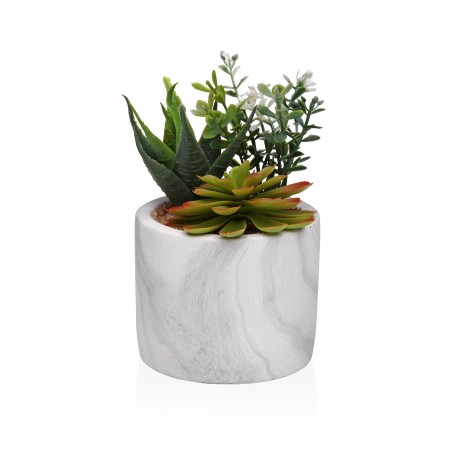 VASO MÁRMORE COM SUCULENTA 1