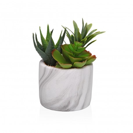 VASO MÁRMORE COM SUCULENTA 2