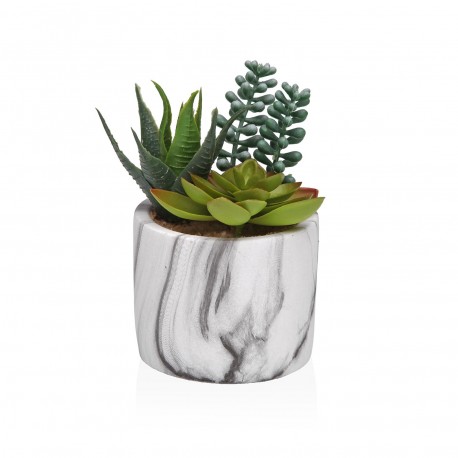 VASO MÁRMORE COM SUCULENTA 3