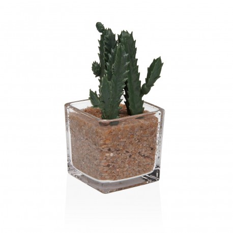 VASO VIDRO COM SUCULENTA 1