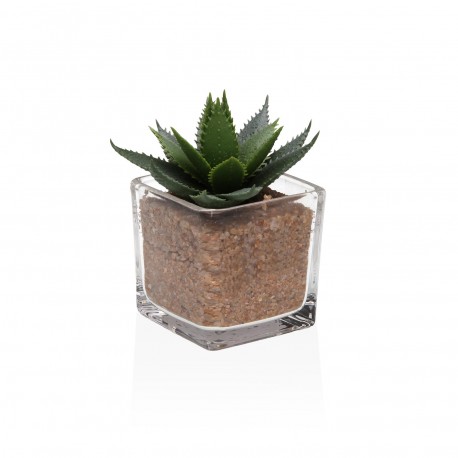 VASO VIDRO COM SUCULENTA 3