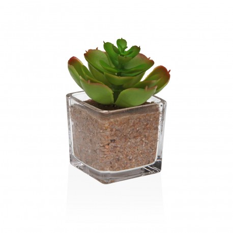VASO VIDRO COM SUCULENTA 4