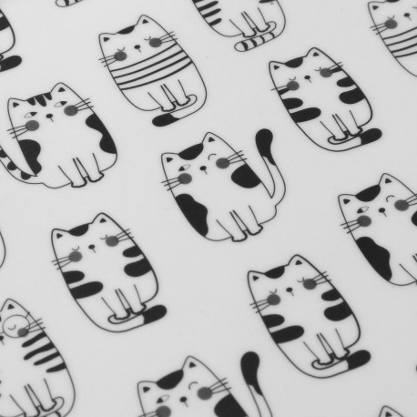 INDIVIDUAL GATTO