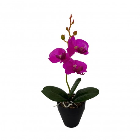 ORQUÍDEA C/ VASO, SORTIDO 3