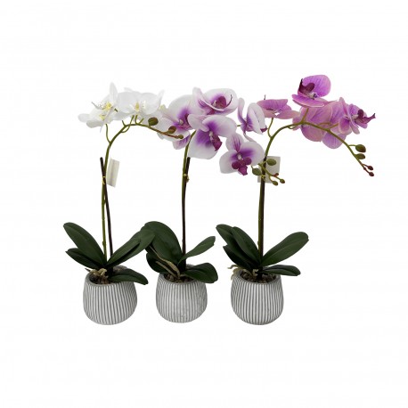 ORQUÍDEA C/ VASO, SORTIDO 3