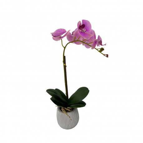 ORQUÍDEA C/ VASO, SORTIDO 3