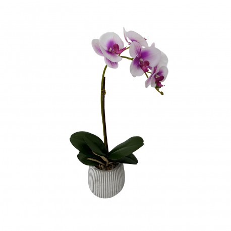 FLOR ORQUÍDEA COM VASO, SORTIDA