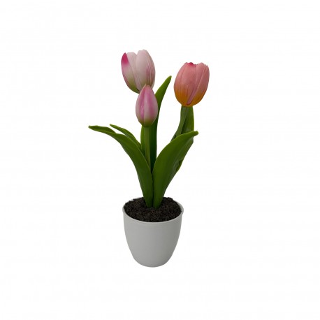 FLOR TULIPA COM VASO, SORTIDA