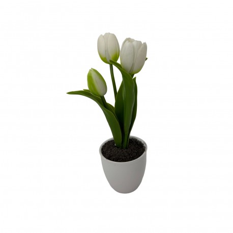 FLOR TULIPA COM VASO, SORTIDA