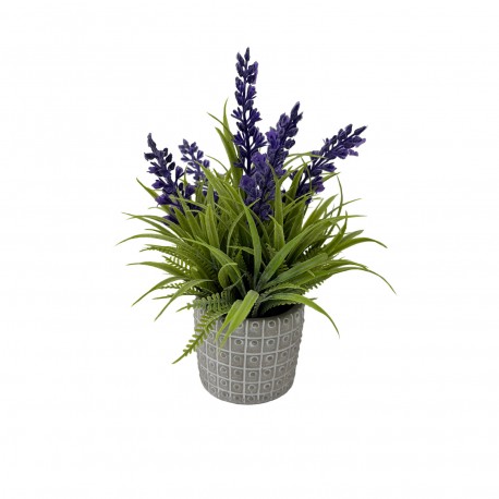 LAVANDA C/ VASO