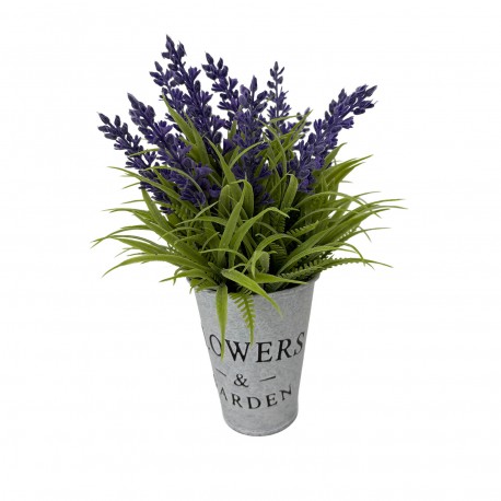 LAVANDA C/ VASO