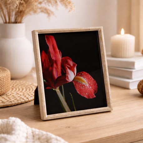 MOLDURA MADEIRA RINEY 20X25