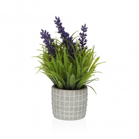 PLANTA LAVANDA COM VASO