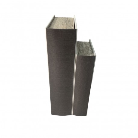 CONJUNTO 2 LIVROS DECORATIVOS GAIA