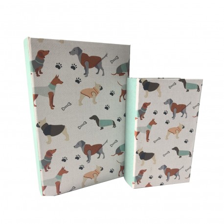 CONJUNTO 2 LIVROS DECORATIVOS AMICO