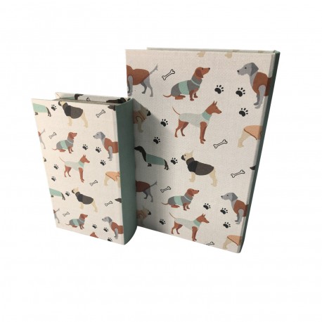 CONJUNTO 2 LIVROS DECORATIVOS AMICO