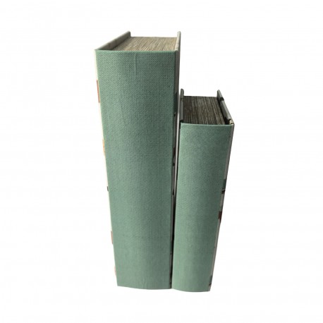 CONJUNTO 2 LIVROS DECORATIVOS AMICO